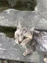 玉野御嶽神社の動物