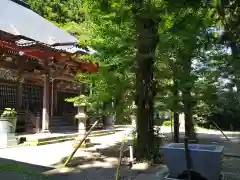 大悲願寺の建物その他