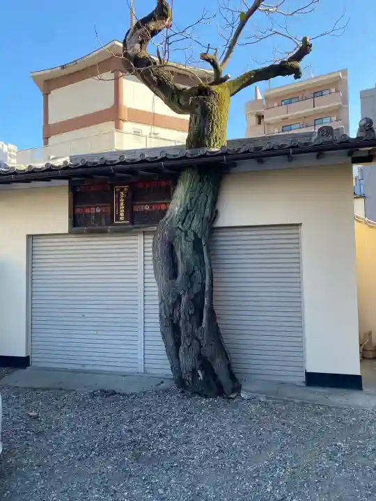 真源寺(入谷鬼子母神)(東京都)