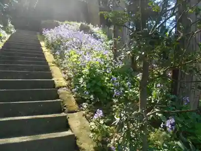 子之神社（子ノ神社）の周辺