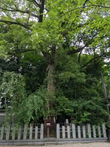 富部神社(愛知県)