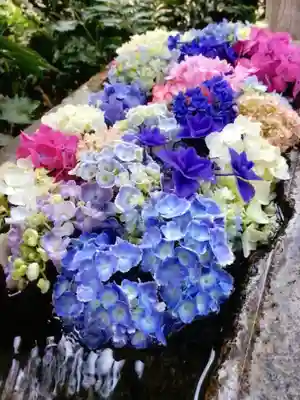 本郷氷川神社(東京都)