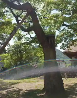 加茂神社(長野県)