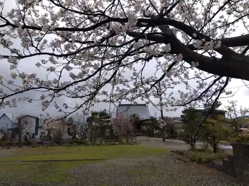称念寺(新潟県)