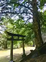 一護王社の{uncategorized: "未分類", other: "その他", undefined: "問題あり", building: "その他建物", grave: "お墓", sacred_gate: "鳥居", guardian: "狛犬", statue: "像", buddha: "仏像", history: "歴史", nature: "自然", garden: "庭園", animal: "動物", pagoda: "塔", temizu: "手水舎", mountain_gate: "山門・神門", sanctuary: "本殿・本堂", subordinate: "末社・摂社", art: "芸術", scenery: "景色", jizo: "地蔵", ema: "絵馬", goshuin: "御朱印", omikuji: "おみくじ", items: "授与品その他", amulet: "お守り", goshuincho: "御朱印帳", eats: "食事", festival: "お祭り", votive_dance: "神楽", shichigosan: "七五三参", wedding: "結婚式", experience: "体験その他", initially: "初詣", around: "周辺", anti_infection: "感染症対策"}