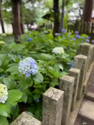 飯笠山神社(長野県)