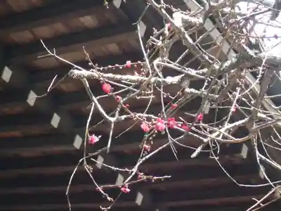 安國論寺（安国論寺）(神奈川県)