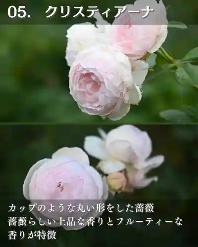 宝光寺(北海道)