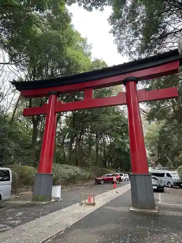 大宮八幡宮の鳥居