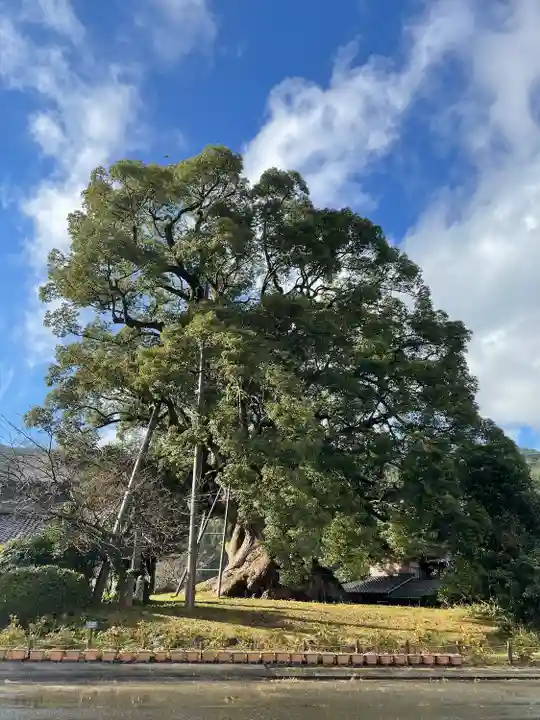 大楠神社(福岡県)