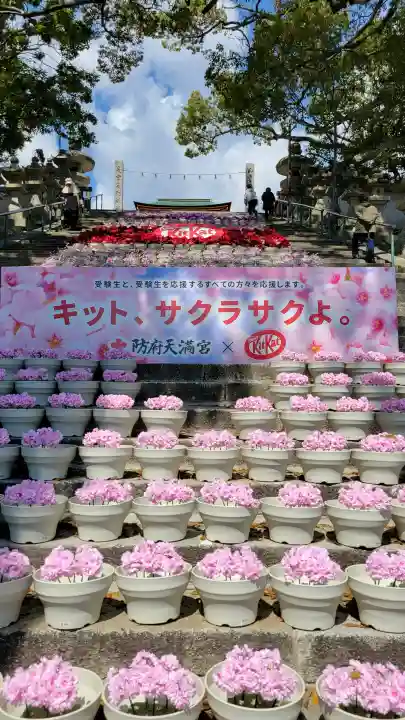 防府天満宮の{uncategorized: "未分類", other: "その他", undefined: "問題あり", building: "その他建物", grave: "お墓", sacred_gate: "鳥居", guardian: "狛犬", statue: "像", buddha: "仏像", history: "歴史", nature: "自然", garden: "庭園", animal: "動物", pagoda: "塔", temizu: "手水舎", mountain_gate: "山門・神門", sanctuary: "本殿・本堂", subordinate: "末社・摂社", art: "芸術", scenery: "景色", jizo: "地蔵", ema: "絵馬", goshuin: "御朱印", omikuji: "おみくじ", items: "授与品その他", amulet: "お守り", goshuincho: "御朱印帳", eats: "食事", festival: "お祭り", votive_dance: "神楽", shichigosan: "七五三参", wedding: "結婚式", experience: "体験その他", initially: "初詣", around: "周辺", anti_infection: "感染症対策"}