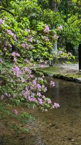 賀茂別雷神社（上賀茂神社）(京都府)