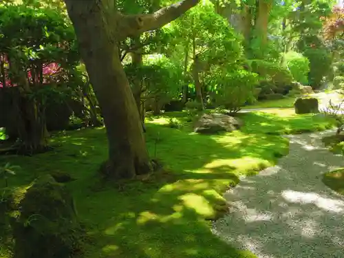 報国寺の庭園