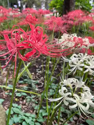 祖光院(千葉県)