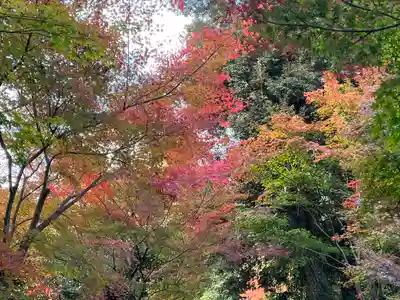 即宗院(京都府)