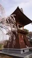 慈眼寺のその他建物