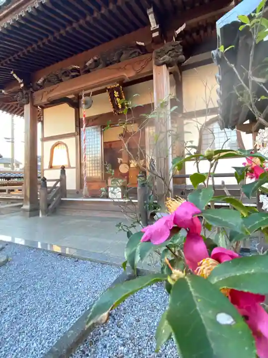 観音堂の本殿・本堂