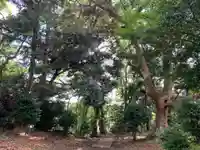 鷲宮神社(千葉県)