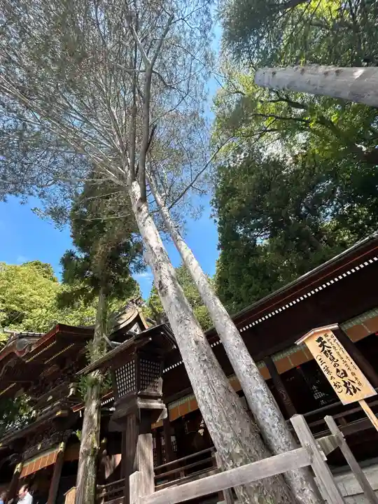 諏訪大社下社秋宮(長野県)