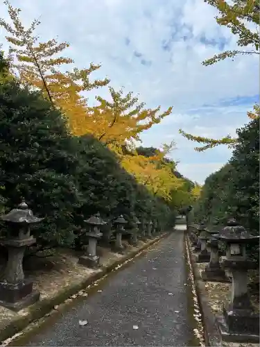 蓮華院誕生寺奥之院(熊本県)