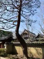 瑞春院の建物その他