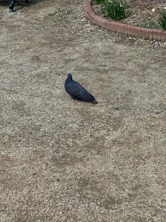 屯倉神社(大阪府)