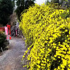 差出磯大嶽山神社 仕事と健康と厄よけの神さま(山梨県)(2024年04月06日(土) 09時11分45秒投稿)