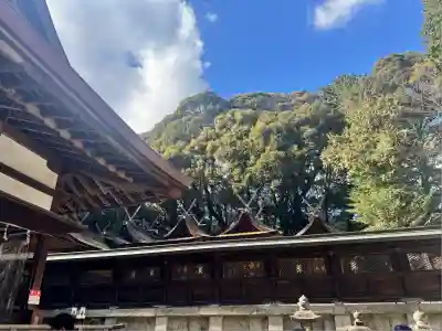 往馬坐伊古麻都比古神社(奈良県)