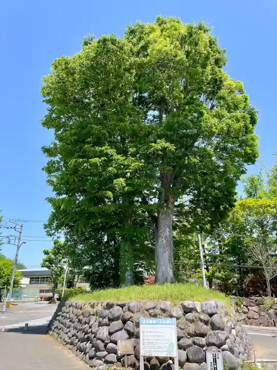 本城稲荷神社(栃木県)
