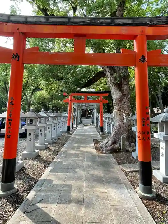 信太森神社(葛葉稲荷神社)の鳥居