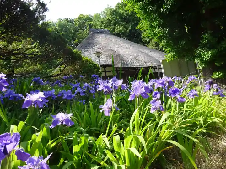 横浜 西方寺の本殿・本堂