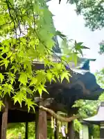 蚊里田八幡宮の{uncategorized: "未分類", other: "その他", undefined: "問題あり", building: "その他建物", grave: "お墓", sacred_gate: "鳥居", guardian: "狛犬", statue: "像", buddha: "仏像", history: "歴史", nature: "自然", garden: "庭園", animal: "動物", pagoda: "塔", temizu: "手水舎", mountain_gate: "山門・神門", sanctuary: "本殿・本堂", subordinate: "末社・摂社", art: "芸術", scenery: "景色", jizo: "地蔵", ema: "絵馬", goshuin: "御朱印", omikuji: "おみくじ", items: "授与品その他", amulet: "お守り", goshuincho: "御朱印帳", eats: "食事", festival: "お祭り", votive_dance: "神楽", shichigosan: "七五三参", wedding: "結婚式", experience: "体験その他", initially: "初詣", around: "周辺", anti_infection: "感染症対策"}