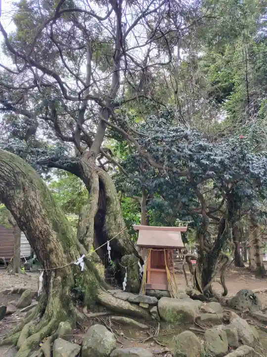 飯野八幡宮の{uncategorized: "未分類", other: "その他", undefined: "問題あり", building: "その他建物", grave: "お墓", sacred_gate: "鳥居", guardian: "狛犬", statue: "像", buddha: "仏像", history: "歴史", nature: "自然", garden: "庭園", animal: "動物", pagoda: "塔", temizu: "手水舎", mountain_gate: "山門・神門", sanctuary: "本殿・本堂", subordinate: "末社・摂社", art: "芸術", scenery: "景色", jizo: "地蔵", ema: "絵馬", goshuin: "御朱印", omikuji: "おみくじ", items: "授与品その他", amulet: "お守り", goshuincho: "御朱印帳", eats: "食事", festival: "お祭り", votive_dance: "神楽", shichigosan: "七五三参", wedding: "結婚式", experience: "体験その他", initially: "初詣", around: "周辺", anti_infection: "感染症対策"}