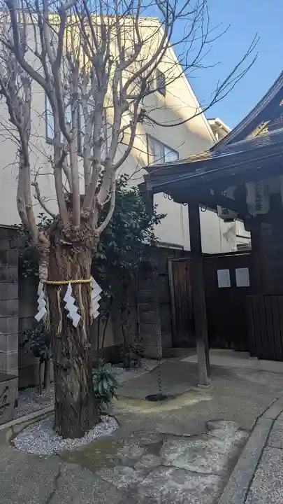 八坂神社御供社(又旅社)の自然
