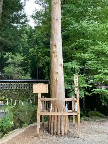 諏訪大社の自然