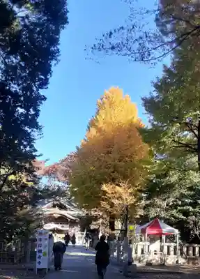 布多天神社(東京都)
