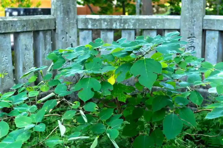 諏訪大社上社前宮(長野県)