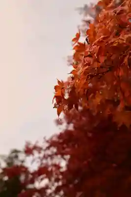 神護寺(京都府)