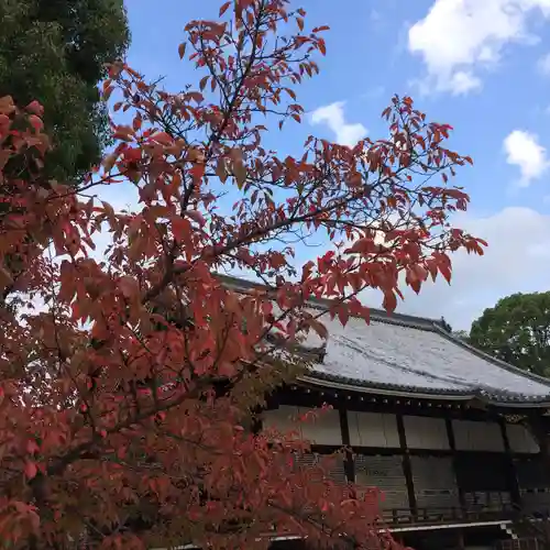 仁和寺(京都府)