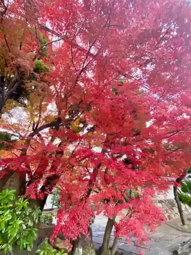 月橋院(京都府)
