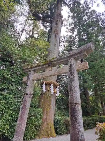 高鴨神社(奈良県)