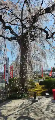 身照寺(岩手県)