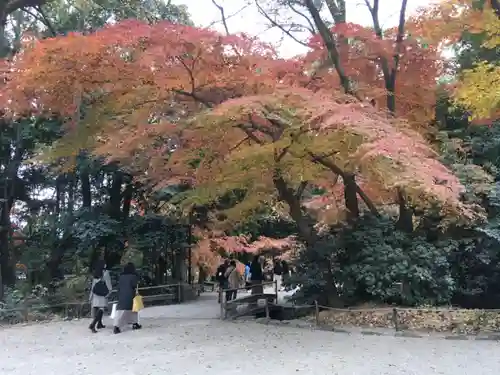 賀茂御祖神社（下鴨神社）の自然