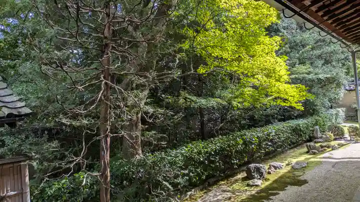 真珠庵(真珠菴)(京都府)