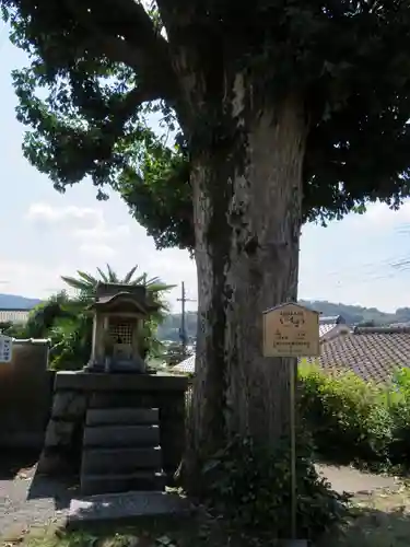 橋寺 放生院の自然