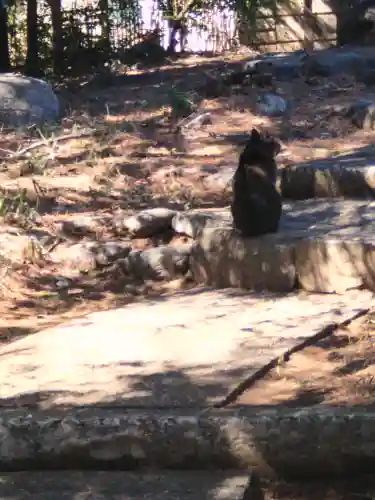 出世稲荷神社(東京都)