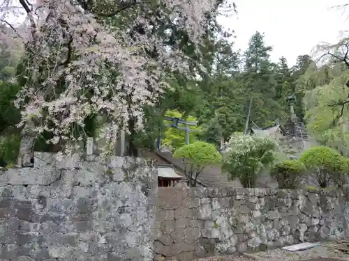 妙義神社(群馬県)