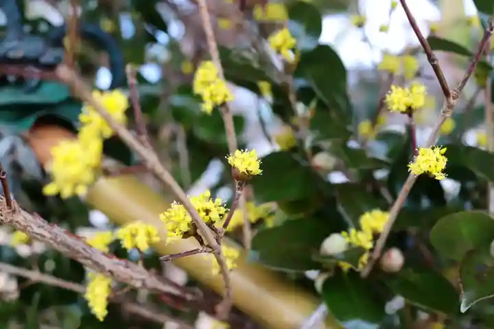 三津厳島神社(愛媛県)