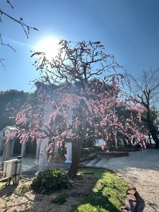 比佐豆知神社の{uncategorized: "未分類", other: "その他", undefined: "問題あり", building: "その他建物", grave: "お墓", sacred_gate: "鳥居", guardian: "狛犬", statue: "像", buddha: "仏像", history: "歴史", nature: "自然", garden: "庭園", animal: "動物", pagoda: "塔", temizu: "手水舎", mountain_gate: "山門・神門", sanctuary: "本殿・本堂", subordinate: "末社・摂社", art: "芸術", scenery: "景色", jizo: "地蔵", ema: "絵馬", goshuin: "御朱印", omikuji: "おみくじ", items: "授与品その他", amulet: "お守り", goshuincho: "御朱印帳", eats: "食事", festival: "お祭り", votive_dance: "神楽", shichigosan: "七五三参", wedding: "結婚式", experience: "体験その他", initially: "初詣", around: "周辺", anti_infection: "感染症対策"}