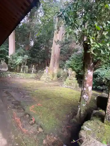 大沢神社のその他建物